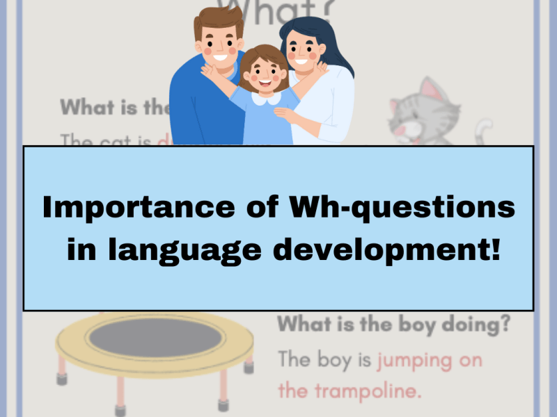 Importance of Wh-questions in language development!